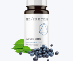 GlucoBerry: The Ultimate Supplement for Blood Sugar Control